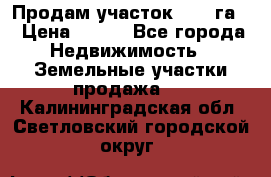 Продам участок 2,05 га. › Цена ­ 190 - Все города Недвижимость » Земельные участки продажа   . Калининградская обл.,Светловский городской округ 